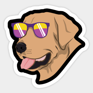 Cool Golden Retriever Sticker